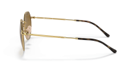 3074457345616702758_1