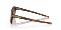 3074457345616856261_1